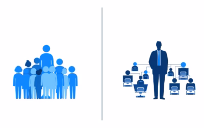 CCO vs VP CS: When Scope Matters